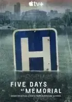 Пять дней после катастрофы